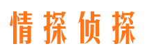 大东市场调查